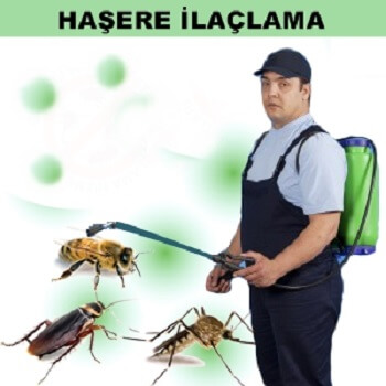 Karpuzlu Böcek İlaçlama